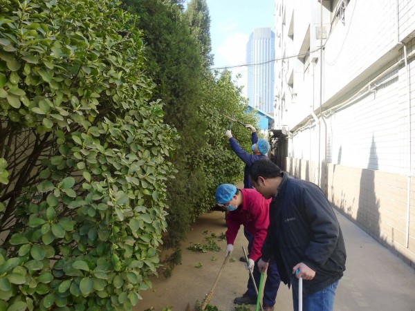 emc易倍体育共青团系统集中开展“3·5”学雷锋周志愿服务活动